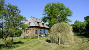 Big family Apartment in Breb's Cosy Barn